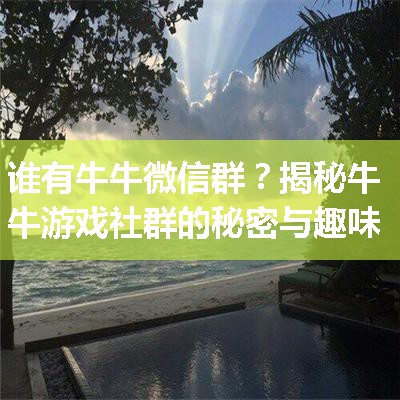 谁有牛牛微信群？揭秘牛牛游戏社群的秘密与趣味