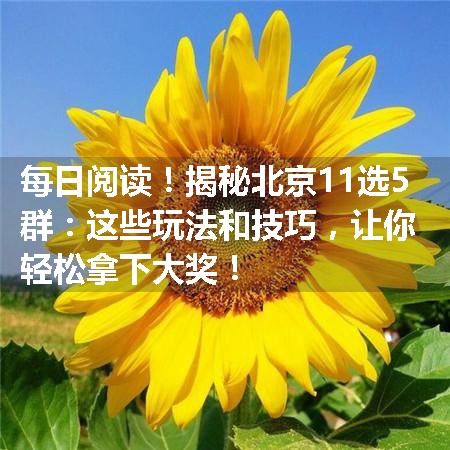 揭秘北京11选5群：这些玩法和技巧，让你轻松拿下大奖！