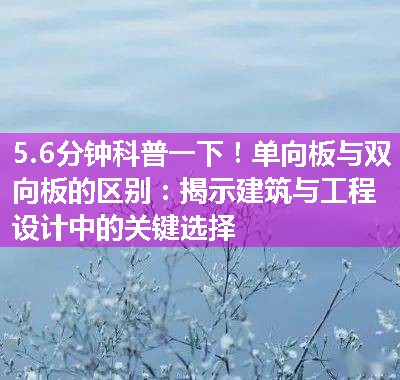 单向板与双向板的区别：揭示建筑与工程设计中的关键选择