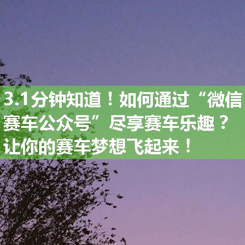 如何通过“微信赛车公众号”尽享赛车乐趣？让你的赛车梦想飞起来！