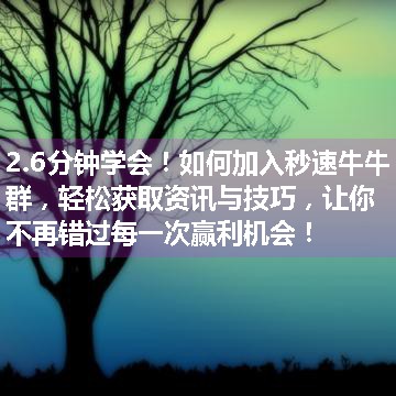 如何加入秒速牛牛群，轻松获取资讯与技巧，让你不再错过每一次赢利机会！