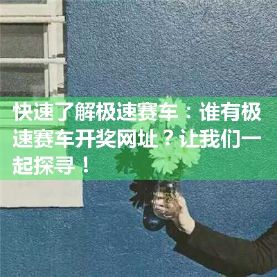 快速了解极速赛车：谁有极速赛车开奖网址？让我们一起探寻！