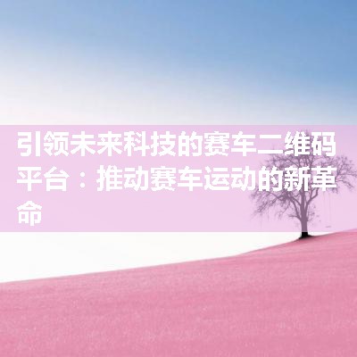 引领未来科技的赛车二维码平台：推动赛车运动的新革命