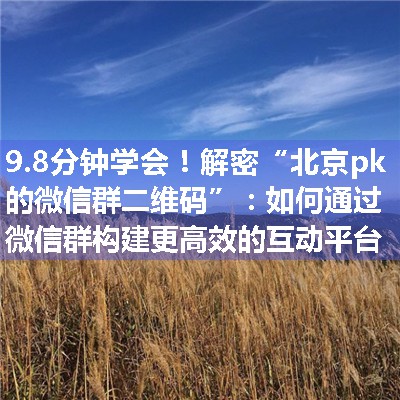 解密“北京pk的微信群二维码”：如何通过微信群构建更高效的互动平台