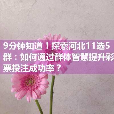 探索河北11选5群：如何通过群体智慧提升彩票投注成功率？