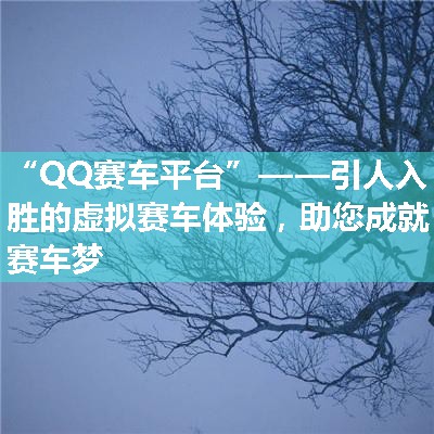 “QQ赛车平台”——引人入胜的虚拟赛车体验，助您成就赛车梦