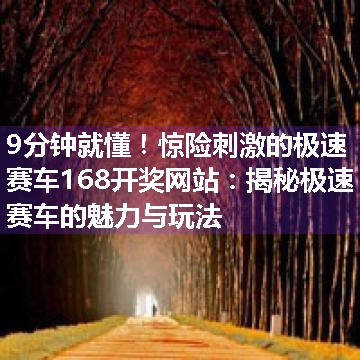 惊险刺激的极速赛车168开奖网站：揭秘极速赛车的魅力与玩法