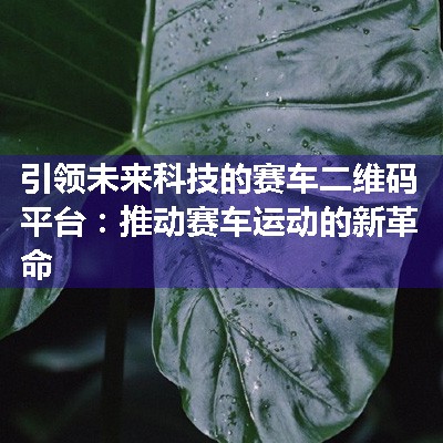 引领未来科技的赛车二维码平台：推动赛车运动的新革命