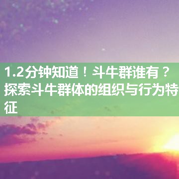 斗牛群谁有？探索斗牛群体的组织与行为特征