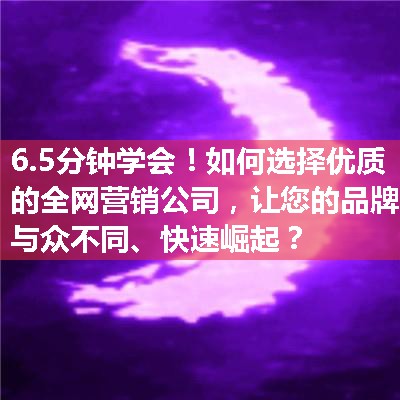 如何选择优质的全网营销公司，让您的品牌与众不同、快速崛起？