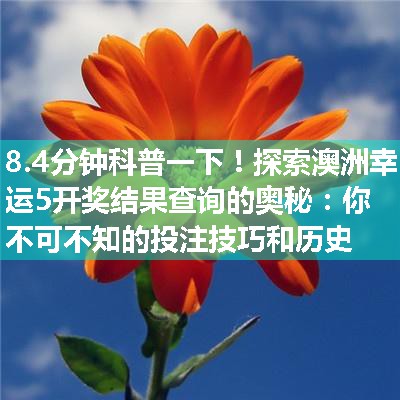 探索澳洲幸运5开奖结果查询的奥秘：你不可不知的投注技巧和历史