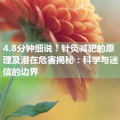 针灸减肥的原理及潜在危害揭秘：科学与迷信的边界