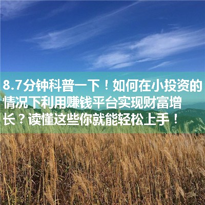 如何在小投资的情况下利用赚钱平台实现财富增长？读懂这些你就能轻松上手！