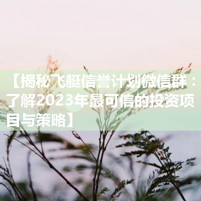 【揭秘飞艇信誉计划微信群：了解2023年最可信的投资项目与策略】