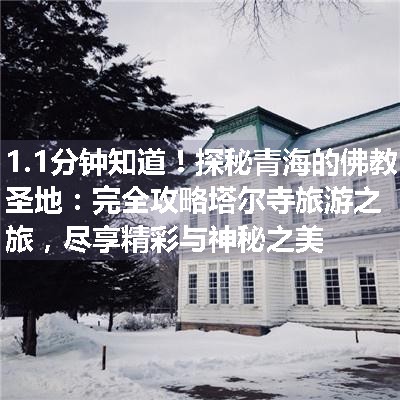 探秘青海的佛教圣地：完全攻略塔尔寺旅游之旅，尽享精彩与神秘之美