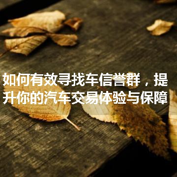 如何有效寻找车信誉群，提升你的汽车交易体验与保障