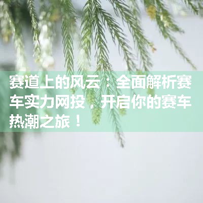 赛道上的风云：全面解析赛车实力网投，开启你的赛车热潮之旅！