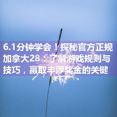 探秘官方正规加拿大28：了解游戏规则与技巧，赢取丰厚奖金的关键