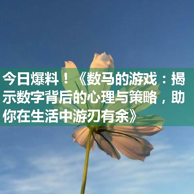 《数马的游戏：揭示数字背后的心理与策略，助你在生活中游刃有余》