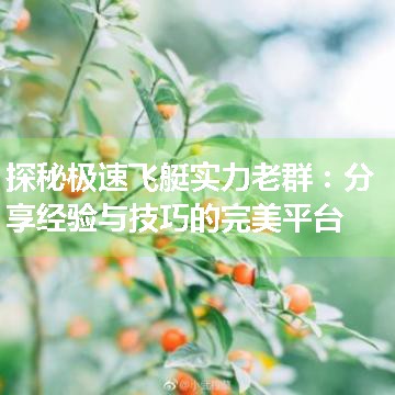 探秘极速飞艇实力老群：分享经验与技巧的完美平台