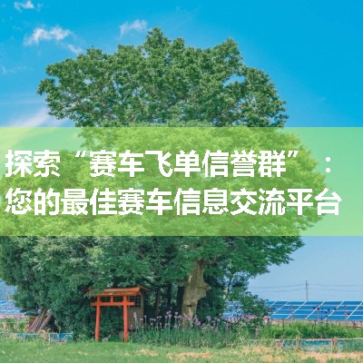 探索“赛车飞单信誉群”：您的最佳赛车信息交流平台