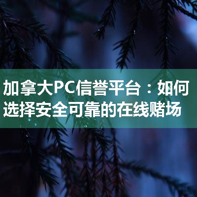 加拿大PC信誉平台：如何选择安全可靠的在线赌场