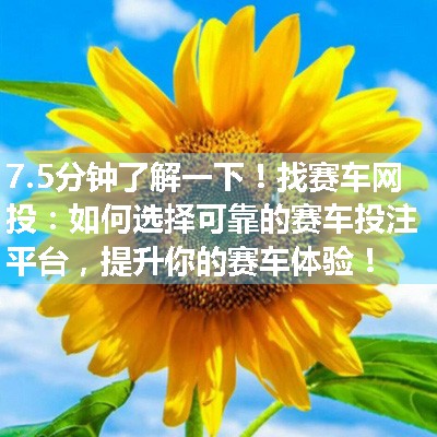 找赛车网投：如何选择可靠的赛车投注平台，提升你的赛车体验！