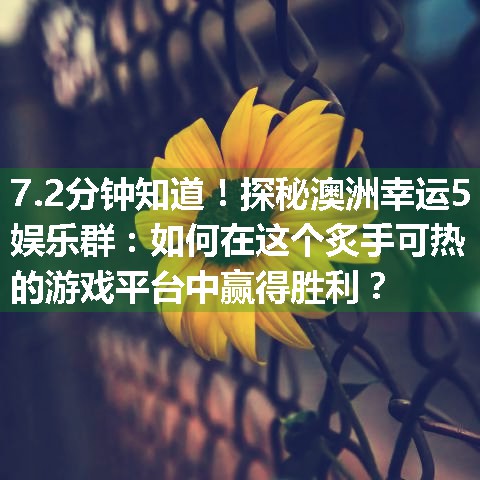 探秘澳洲幸运5娱乐群：如何在这个炙手可热的游戏平台中赢得胜利？