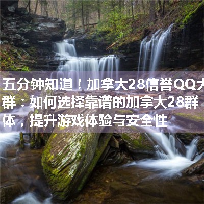 加拿大28信誉QQ大群：如何选择靠谱的加拿大28群体，提升游戏体验与安全性