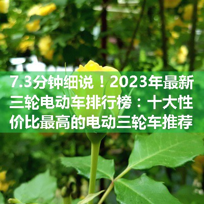 2023年最新三轮电动车排行榜：十大性价比最高的电动三轮车推荐