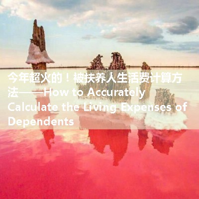 被扶养人生活费计算方法——How to Accurately Calculate the Living Expenses of Dependents