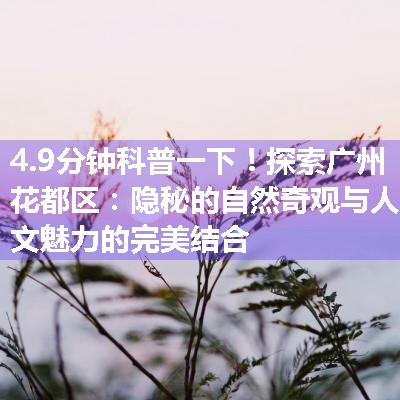 探索广州花都区：隐秘的自然奇观与人文魅力的完美结合