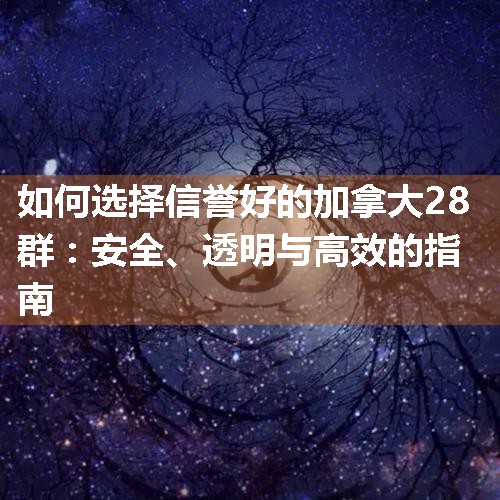 如何选择信誉好的加拿大28群：安全、透明与高效的指南