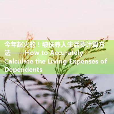 被扶养人生活费计算方法——How to Accurately Calculate the Living Expenses of Dependents