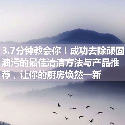 成功去除顽固油污的最佳清洁方法与产品推荐，让你的厨房焕然一新