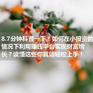 如何在小投资的情况下利用赚钱平台实现财富增长？读懂这些你就能轻松上手！