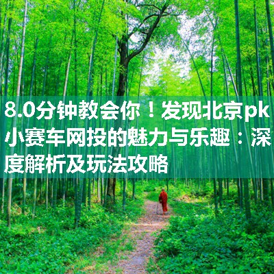 发现北京pk小赛车网投的魅力与乐趣：深度解析及玩法攻略