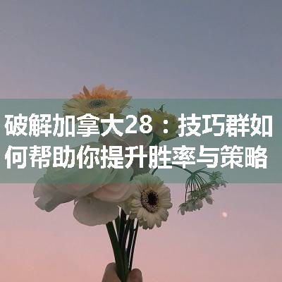 破解加拿大28：技巧群如何帮助你提升胜率与策略