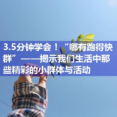 “哪有跑得快群”——揭示我们生活中那些精彩的小群体与活动