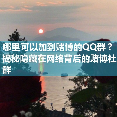 哪里可以加到赌博的QQ群？揭秘隐藏在网络背后的赌博社群