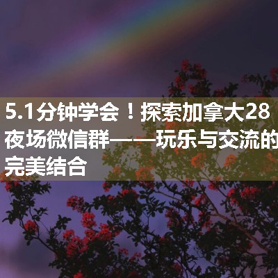 探索加拿大28夜场微信群——玩乐与交流的完美结合