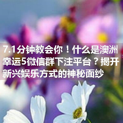 什么是澳洲幸运5微信群下注平台？揭开新兴娱乐方式的神秘面纱