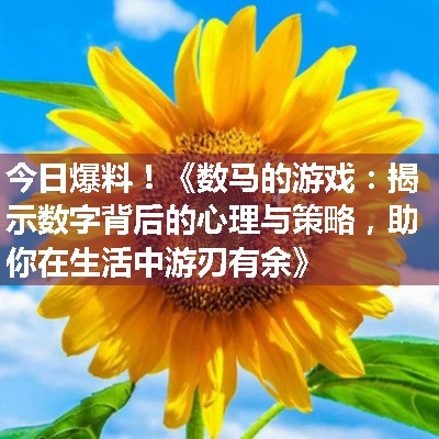 《数马的游戏：揭示数字背后的心理与策略，助你在生活中游刃有余》