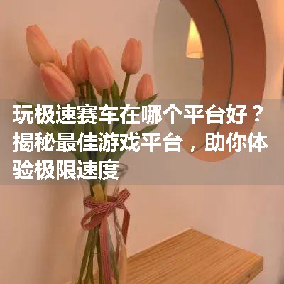 玩极速赛车在哪个平台好？揭秘最佳游戏平台，助你体验极限速度