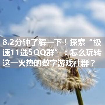 探索“极速11选5QQ群”：怎么玩转这一火热的数字游戏社群？