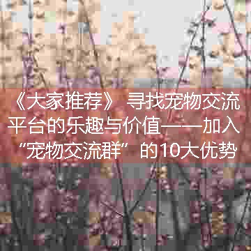 寻找宠物交流平台的乐趣与价值——加入“宠物交流群”的10大优势