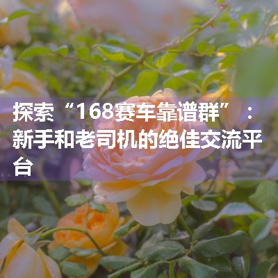 探索“168赛车靠谱群”：新手和老司机的绝佳交流平台