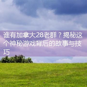 谁有加拿大28老群？揭秘这个神秘游戏背后的故事与技巧