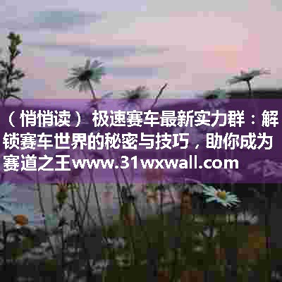 极速赛车最新实力群：解锁赛车世界的秘密与技巧，助你成为赛道之王