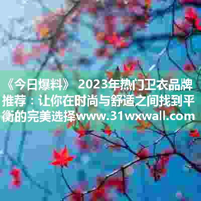 2023年热门卫衣品牌推荐：让你在时尚与舒适之间找到平衡的完美选择